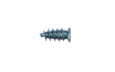 Spine screw 5.2