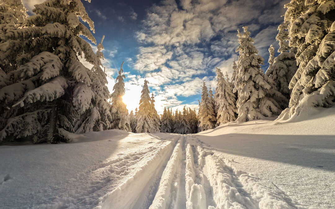 A dynamic start to the year