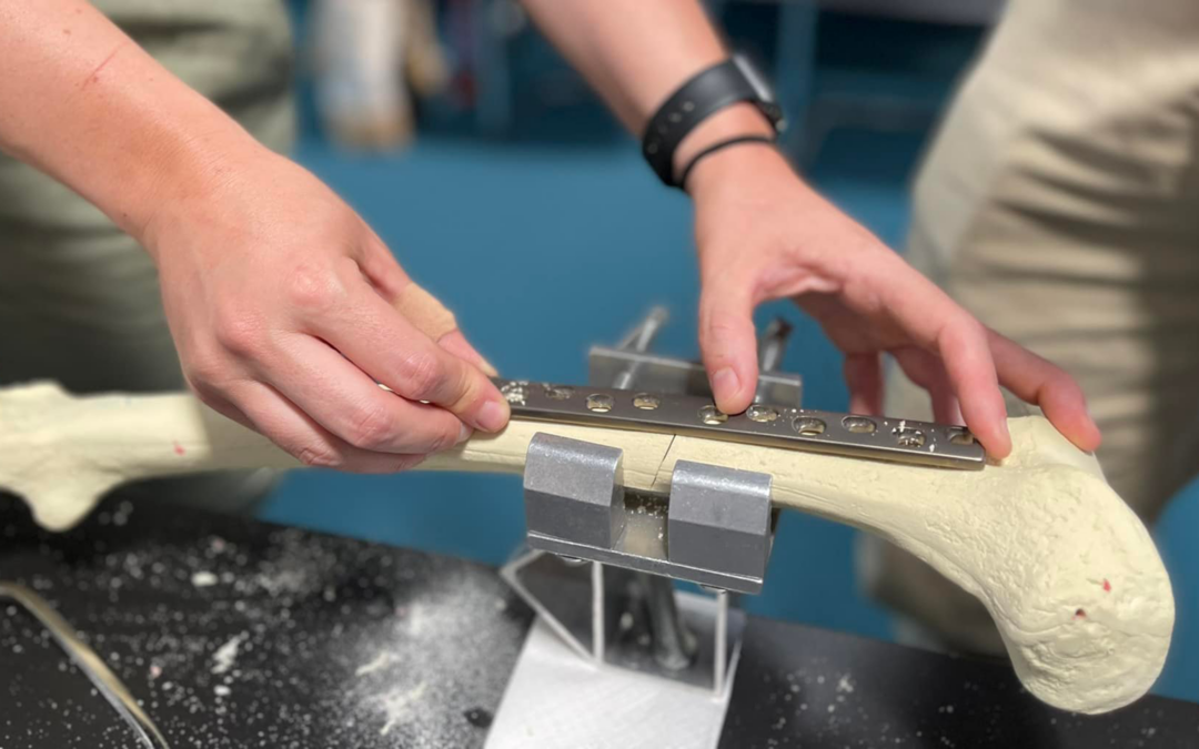 Workshop as entry to osteosynthesis