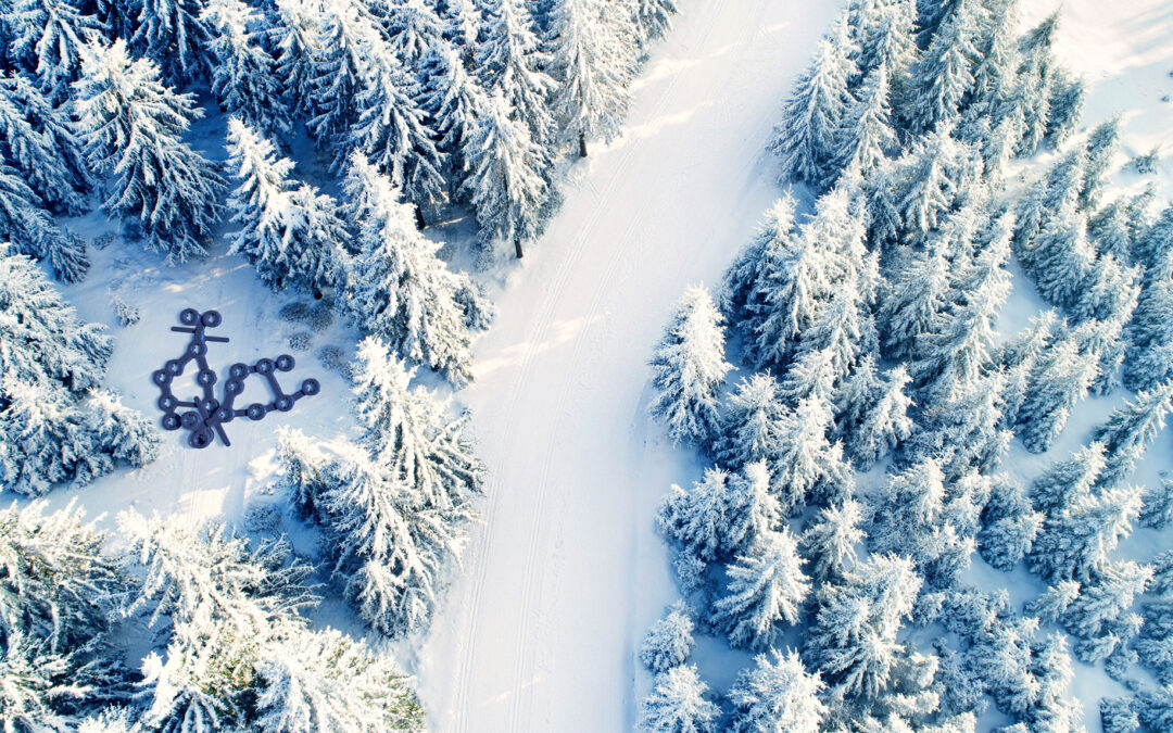 Die Faszination des Biathlons: Eine Reise ins Biosphärenreservat Thüringer Wald