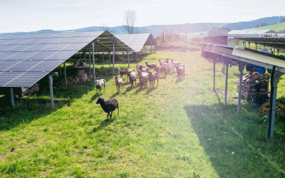Certificate presentation, NAThüringen